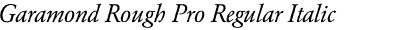 Garamond Rough Pro Regular Italic